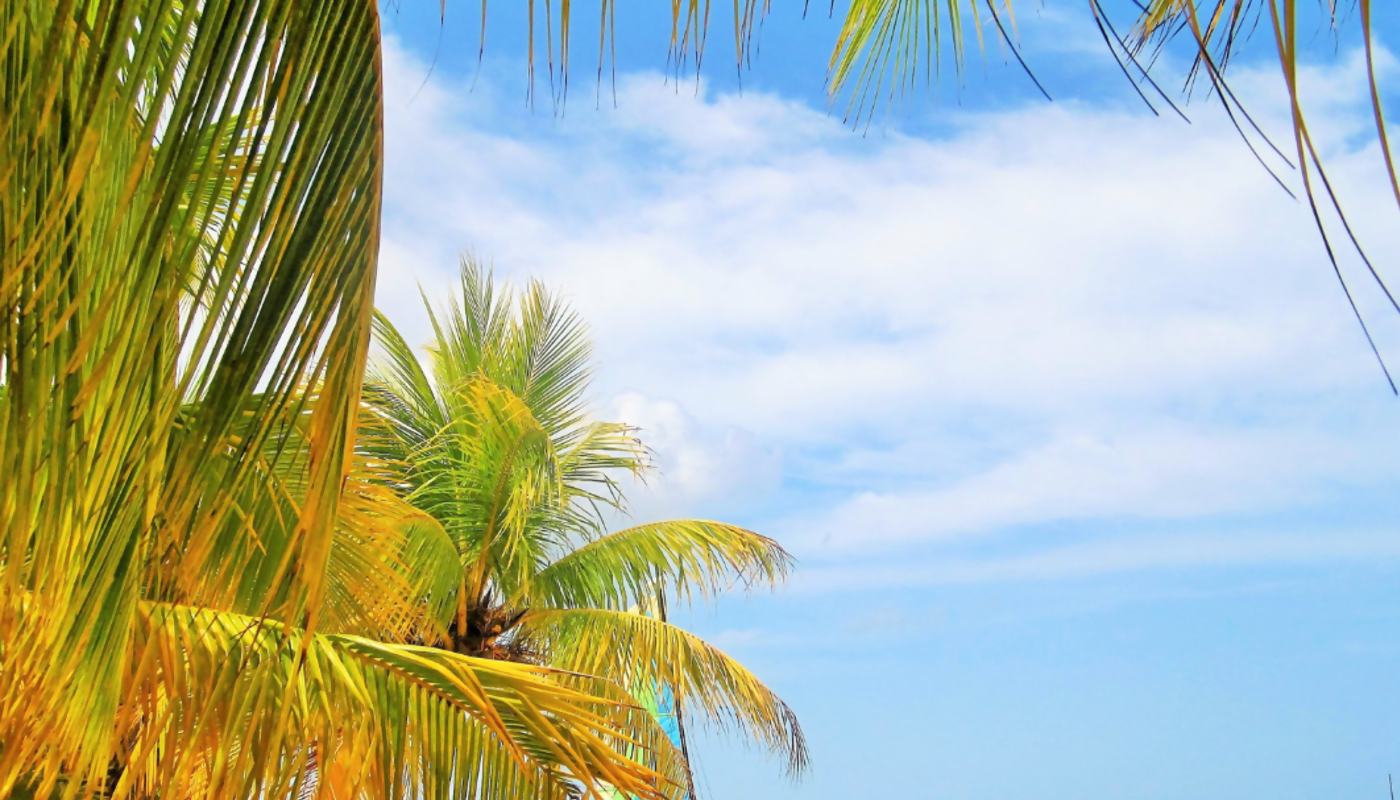 Jamaica’s Prime Destinations With WestJet Vacations